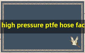 high pressure ptfe hose factories